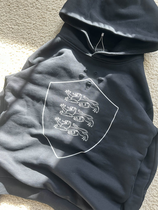 "shielded" hoodie